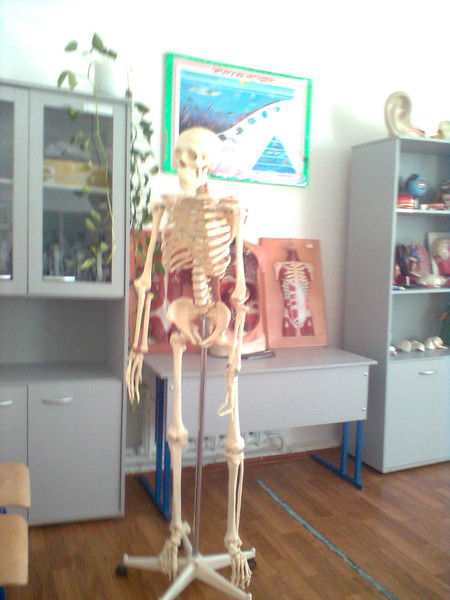 Дамир Хайролла