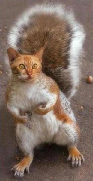 Валентина Семина