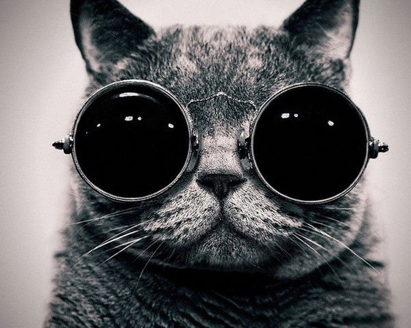 Рома Бикбов