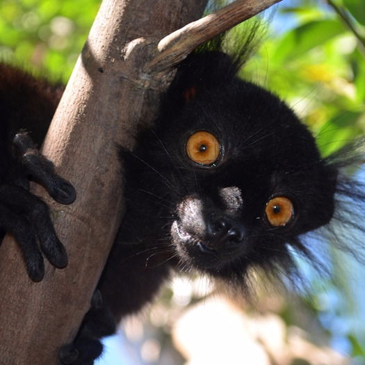 Жанна Кудрявцева