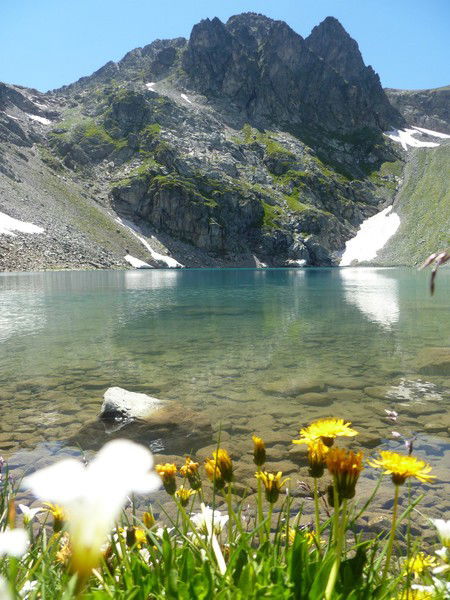 Елена Смородько