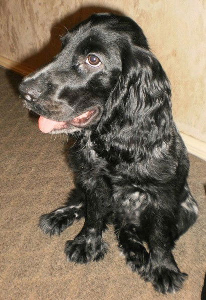 Елизавета Шмагина