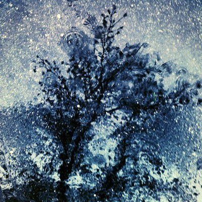 Полина Захарова