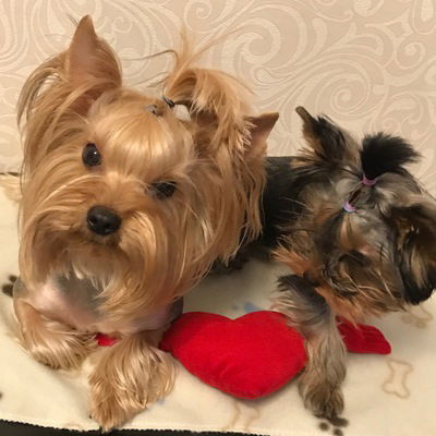 Танюша Шушкевич