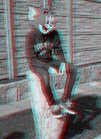 Александр Швец