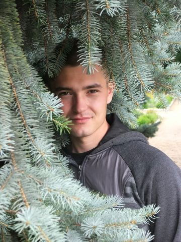 **** Серега ****