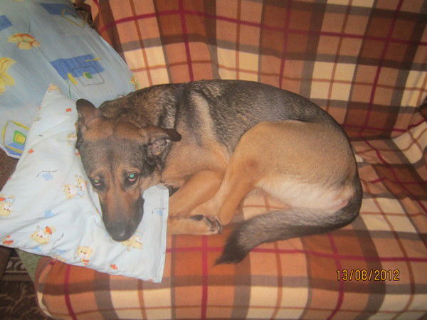 Christina Solomatina