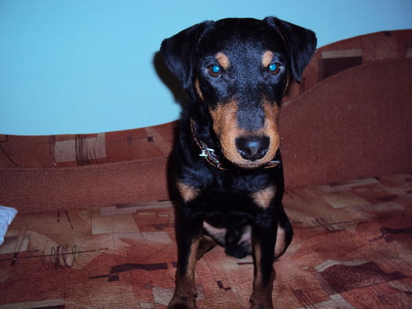 Ваня Солтан