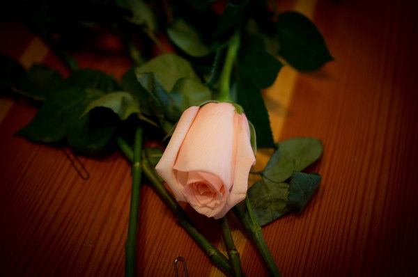 Наталья Дедовец