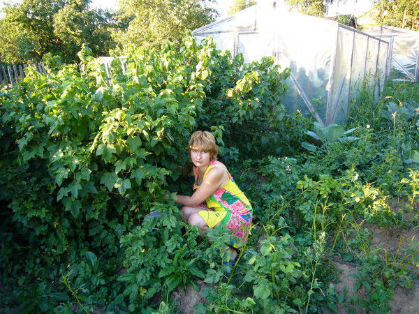 Мария Матвеева(Куликова)