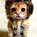 Василий Корнев