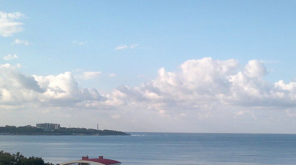 Татьяна Левченко