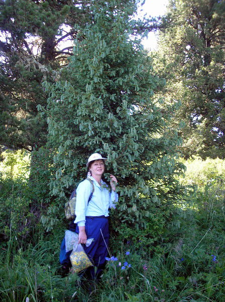 Татьяна Кудряшова