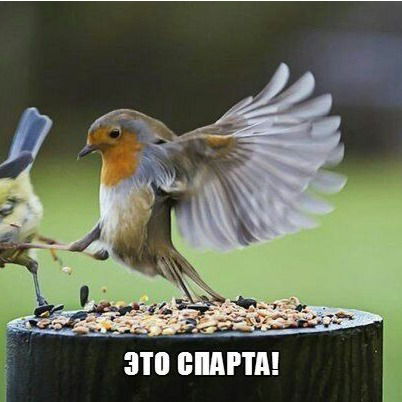 Бауржан Тегжанов