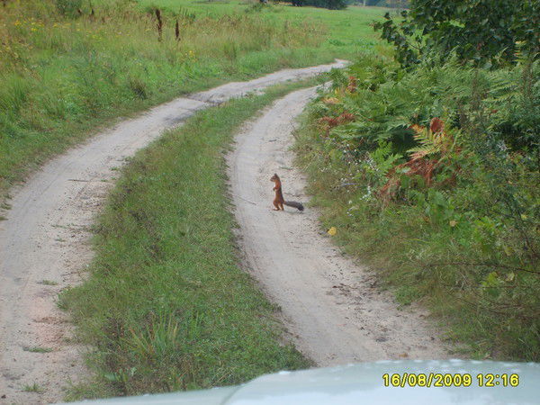 Владимир Дюжаков