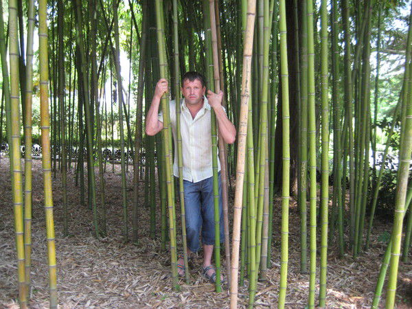 Денис Сивков