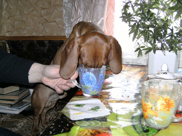 Юлия Бабаян-Антонова