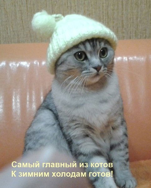 Родригос Поликарпович