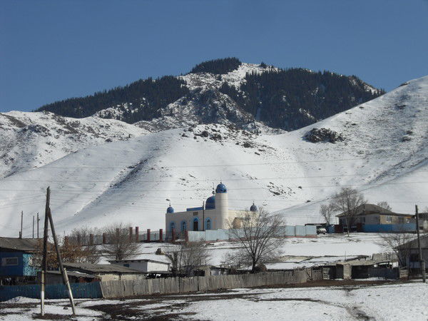 Жылысай 84 Курдастар