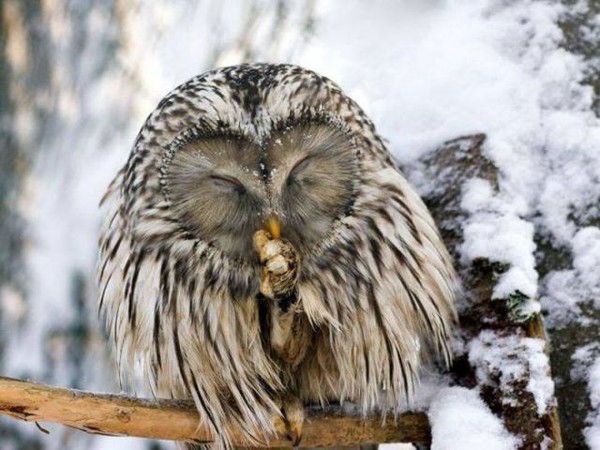 Игорь Красногорский