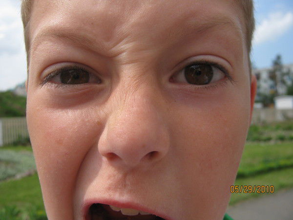 Стас Курленя