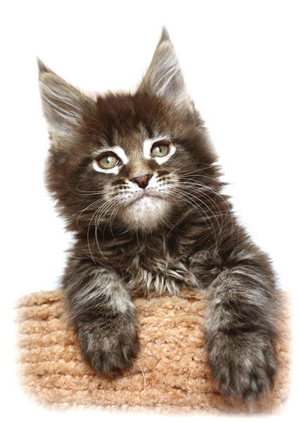 Людмила Кузина