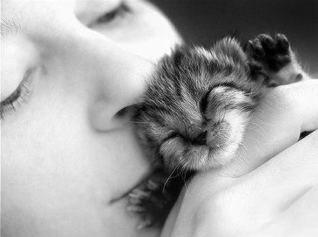 Анастасия Морозова