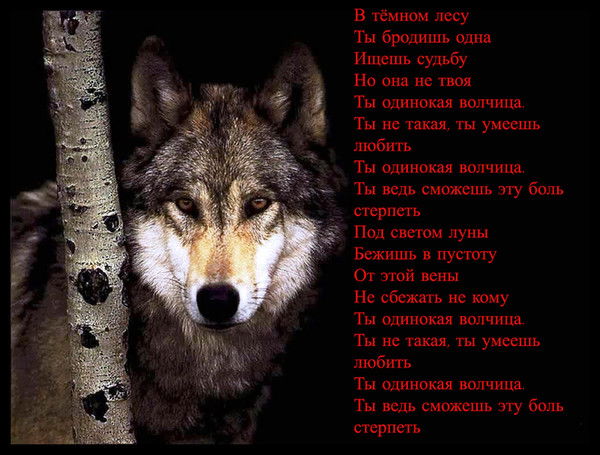 Иван Пугачёв