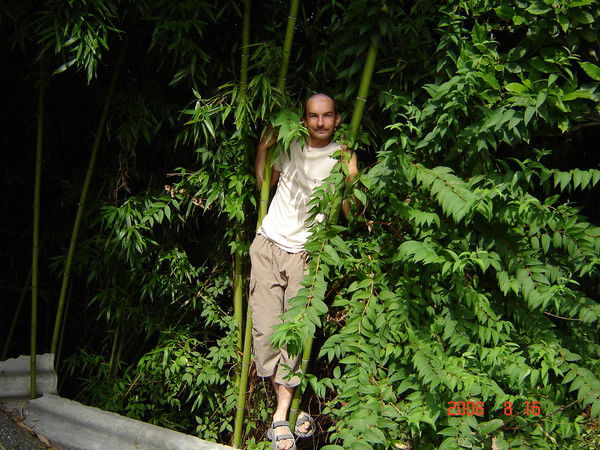 Андрей Тарасов