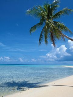 Михаил Неизвестно