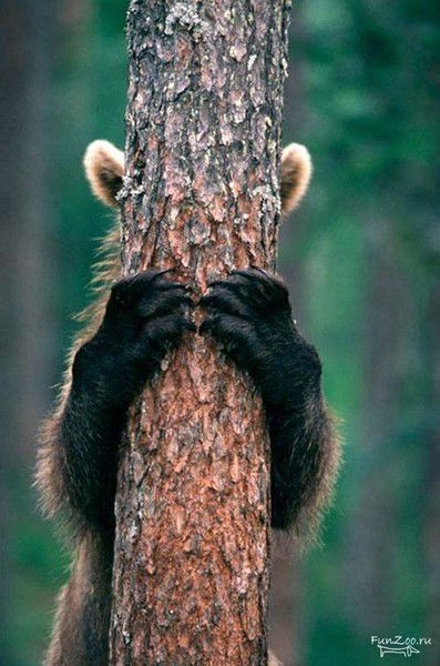 Евгений Чернов