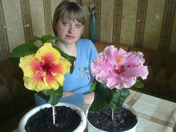 Татьяна Шарая