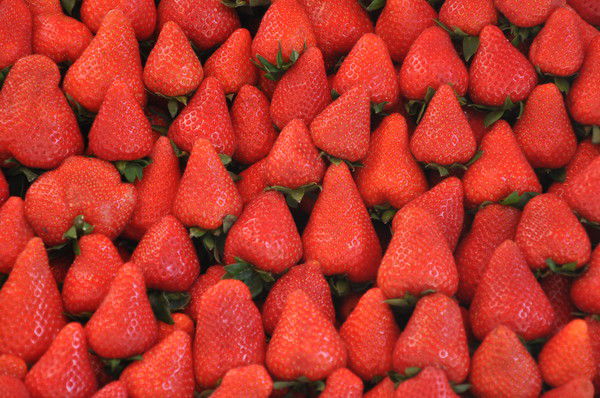 Мария Крестьянникова