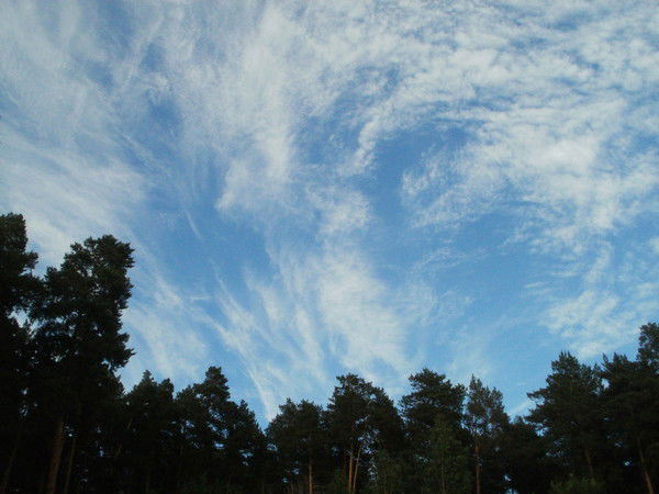 Светлана Каурова