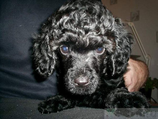 Надежда Елагина