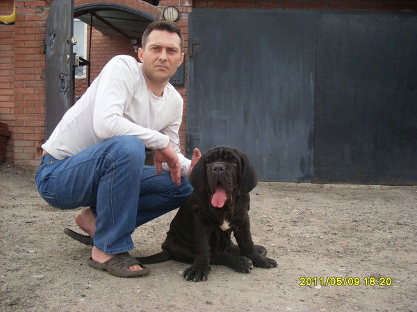 Вадим Митров