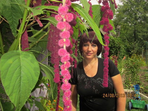 Елена Белокаменская