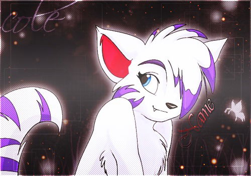 Влада Бойко