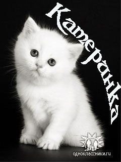 Катя Феоктистова