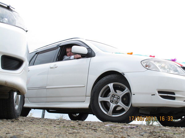 Александр Томашевский