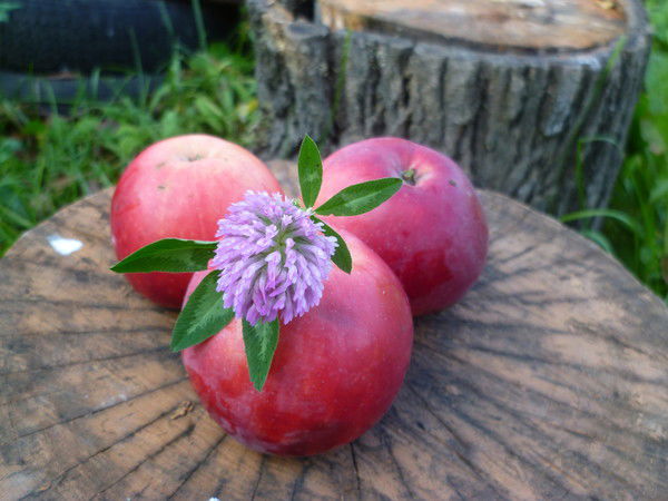 Наталия Лотонина