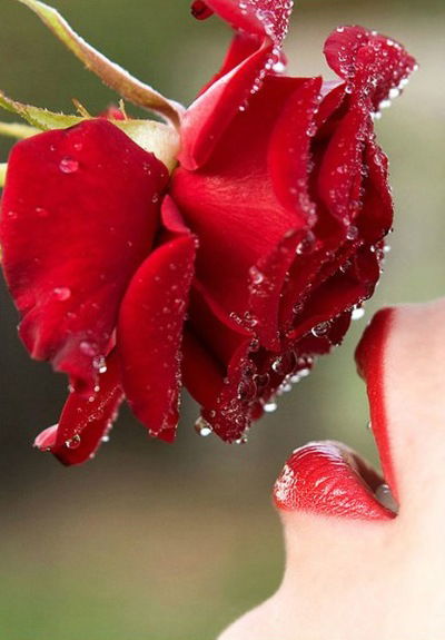 Екатерина Вицына