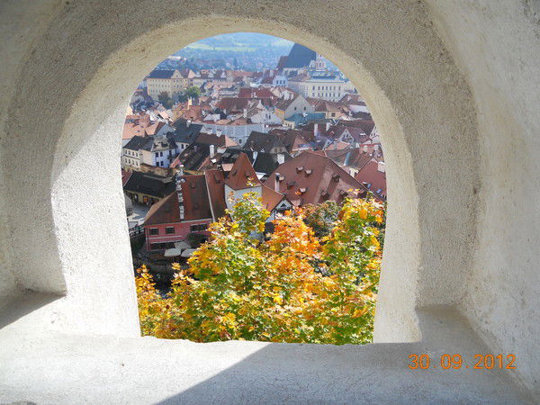 Елена Вольхович