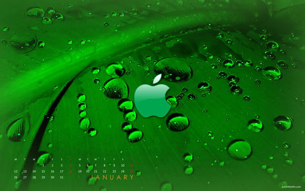 Юрий Гришин