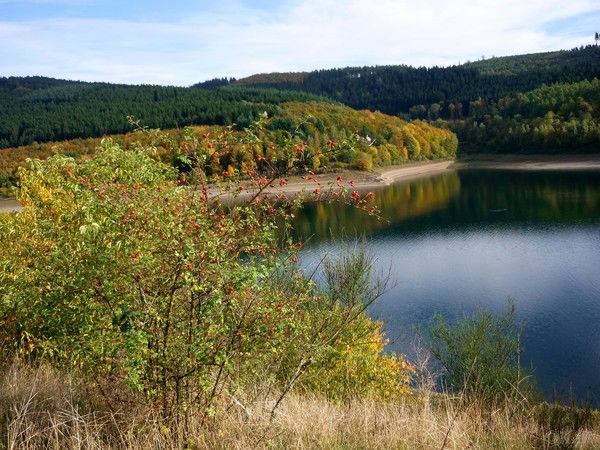 Владимир Малышев