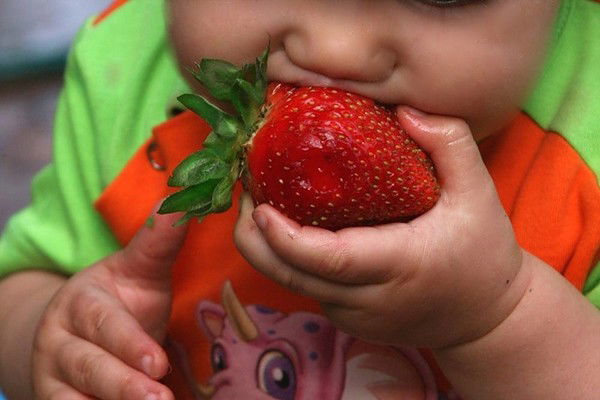 Неизвестно Неизвестно