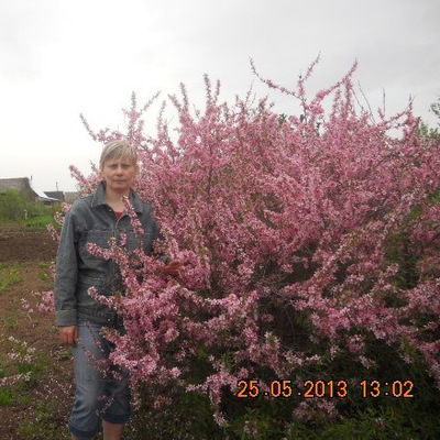 Татьяна Николаева