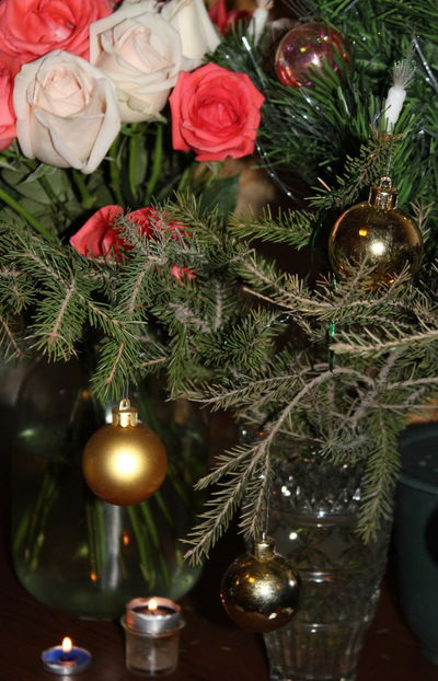 Марина Шильникова