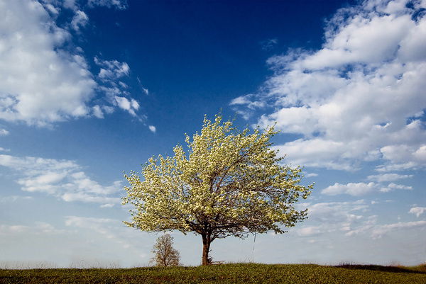 Дмитрий ********