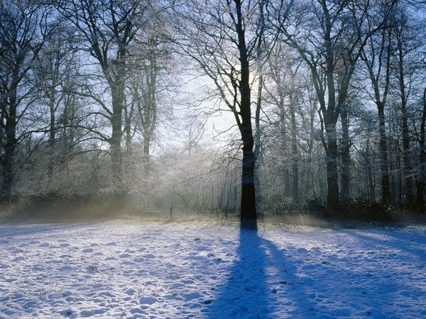 Владимир ...